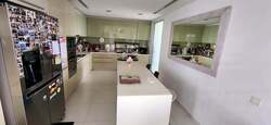 Sky@Eleven (D11), Condominium #625080011